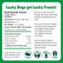 (12 Count) Lucky Premium Treats Lucky Slims - Long Chicken Jerky Dog Treats and Crunchy Dog Chew Sticks with Real