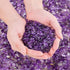 EZEELAI 0.88 Lb Amethyst Crushed Stones Crystal Quartz Chips, Natural Tumbled Stones Irregular