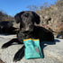 Tummy 5oz (Pack 1) Jiminy's Crunchy Original Peanut Butter & Pumpkin Dog Treat, Hypoallergenic, Prebiotic, Friendly