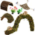 PETKNOWS Hermit Crab Accessories, 6 Pieces Hermit Crab Climbing Toys Coconut Shell
