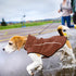 Mile High Life Adjustable Waterproof Dog Raincoat, Lightweight Breathable Jacket for Small Medium Large Dogs