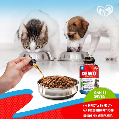 Natural Intestinal Defense for Dogs & Cats – Herbal Cleanse with Wormwood, Black Walnut – Promotes Healthy Gut Balance