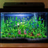 25pcs Green Fish Tank Decor, Aquarium Plants, Artificial Plants, Fish Tank Accessories, Small to Large