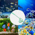 5 Pack Multi-Size Fine Quick Fish Catch Nets, Nylon Fishing Mesh Nets with Long Plastic Handle for Fish Tank