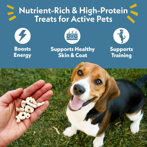 Fresh Is Best Wild Pacific Shrimp Freeze Dried Cat Treats Raw Freeze Dried Shrimp for Cats and Dogs in Resealable