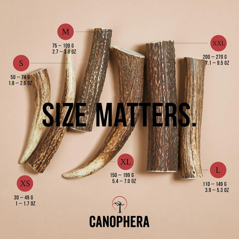 Premium Red Deer Antlers - Natural Long-Lasting Chews for Aggressive Chewers, Xtra Large