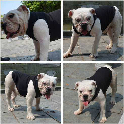 Lovelonglong 2019 Summer Pet Clothing, Dog Clothes Blank T-Shirts, Ribbed Tanks for Bulldog Pit Bull, 100% Cotton Black
