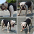 Lovelonglong 2019 Summer Pet Clothing, Dog Clothes Blank T-Shirts, Ribbed Tanks for Bulldog Pit Bull, 100% Cotton Black