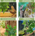 PINVNBY Reptile Terrarium Plants - Hanging Artificial Habitat Climbing Decorations with Suction Cup, 6PCS