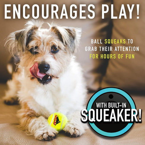 Franklin Pet Supply RSF Squeak Mini 1.75" Tennis Balls, Dog Toy Squeaks When Squeezed, Pack of 12