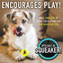 Franklin Pet Supply RSF Squeak Mini 1.75" Tennis Balls, Dog Toy Squeaks When Squeezed, Pack of 12