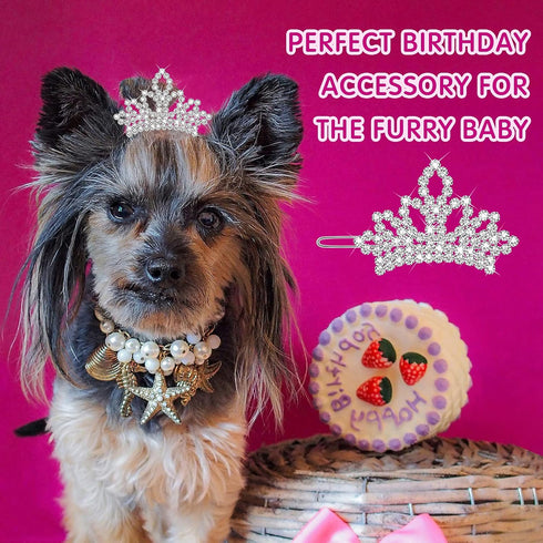 MTLEE 2 Pieces Dog Tiara Crown Hair Clips, Clear Crystal Rhinestone Barrettes for Pet Grooming