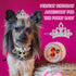 MTLEE 2 Pieces Dog Tiara Crown Hair Clips, Clear Crystal Rhinestone Barrettes for Pet Grooming