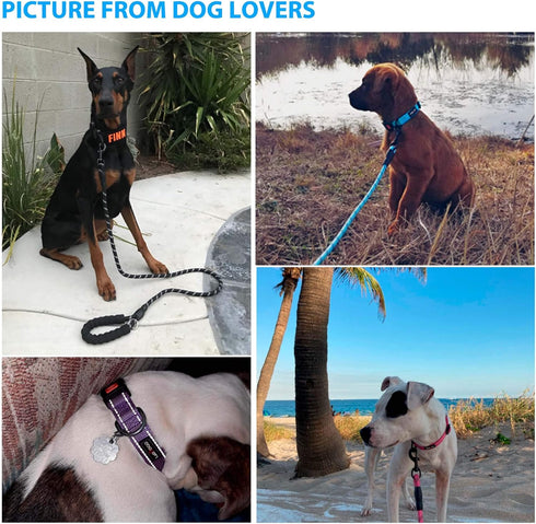 Heavy Duty Dog Leash, 5 ft Long - Comfortable Padded Handle, for Small Medium Large Dogs (Leash+Collar M Neck 16"-20",