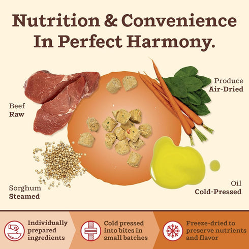 1.5 lb Primal Kibble in The Raw, Freeze Dried Dog Food, Beef, Scoop & Serve, Made with Raw Protein, Whole Ingredient