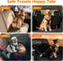 PetBonus Dog Seat Belt for Car, Durable Rope Dog Car Harness Seatbelt for Vehicle, Pet Tether Safety Restraint