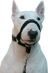 Dog Head Collar Halter Black (XXL 14inch-16inch Snout)