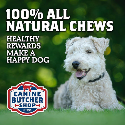 Bully Stick Spirals/Springs, Odor Free, All-Natural Dog Chews, Pack of 6, Made in USA