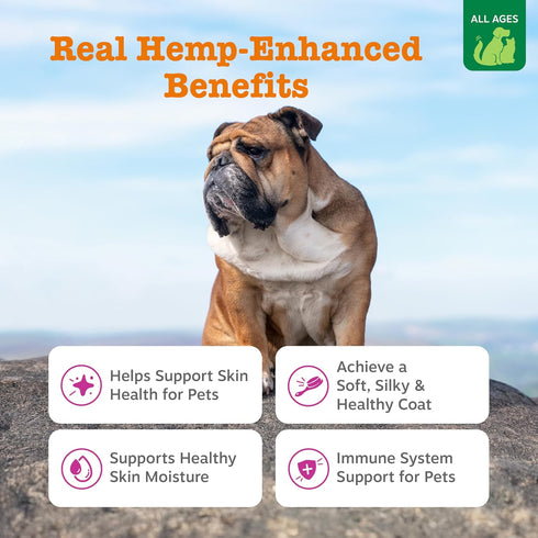 3 6 Immune 16oz Zesty Paws Salmon Omega Oil Hemp for Dogs and Cats with Wild Alaskan Salmon Oil Omega and Fatty Acids