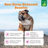 3 6 Immune 16oz Zesty Paws Salmon Omega Oil Hemp for Dogs and Cats with Wild Alaskan Salmon Oil Omega and Fatty Acids