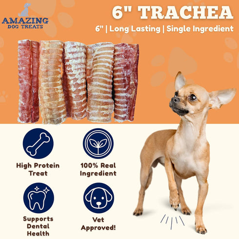 6 Inch (10 16.5 oz) Amazing Dog Treats - Beef Trachea Dog Chews pcs - - Trachea Dog Treats - NO Hide - Digestible