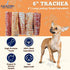 6 Inch (10 16.5 oz) Amazing Dog Treats - Beef Trachea Dog Chews pcs - - Trachea Dog Treats - NO Hide - Digestible