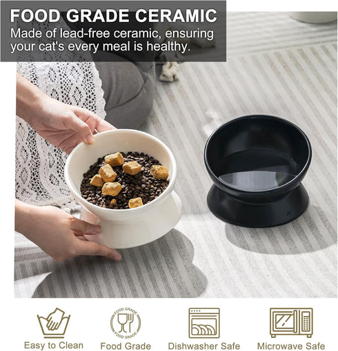 Elevated Tilted Cat Bowl - Ceramic Raised Food Dish for Cats and Small Dogs, 6 Inches, 10 Oz, Anti Vomit, White