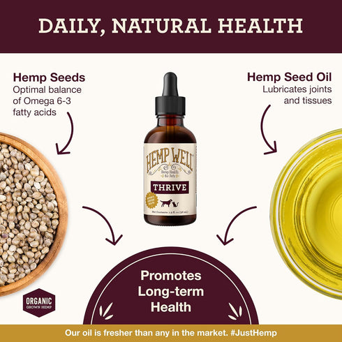 3 6 Immune 2 oz Hemp Well Thrive Oil for Dogs & Cats, Organic Hemp Oil, Omega & Supplement for Skin & Coat, Hip