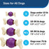 PetSafe Busy Buddy Bouncy Bone Dog Toy - Treat-Holding for Aggressive Chewers, M/L
