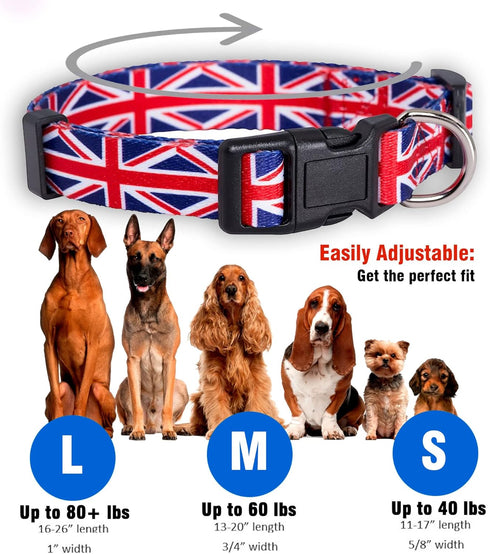 Native Pup Union Jack UK British Flag Dog Collar, Medium