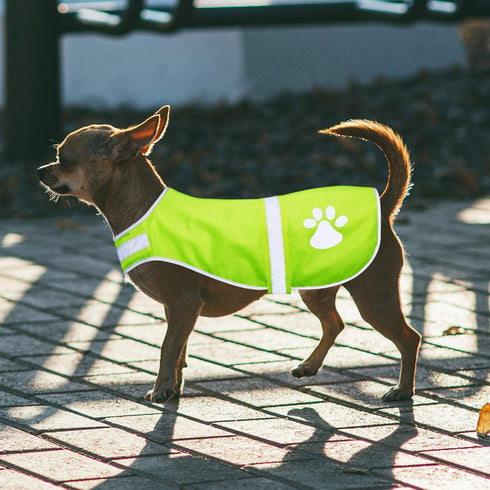 2 Pieces Dog Reflective Vest Adjustable Safety Service Vest for High Visibility Outdoor Activities Walking at Night (L,