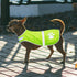 2 Pieces Dog Reflective Vest Adjustable Safety Service Vest for High Visibility Outdoor Activities Walking at Night (L,