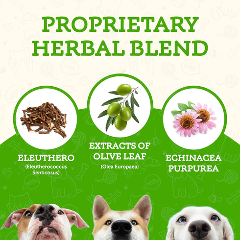 Animal Essentials Super Immune Support for Dogs & Cats, 1 fl oz - Promotes Healthy Immune System
