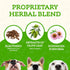 Animal Essentials Super Immune Support for Dogs & Cats, 1 fl oz - Promotes Healthy Immune System
