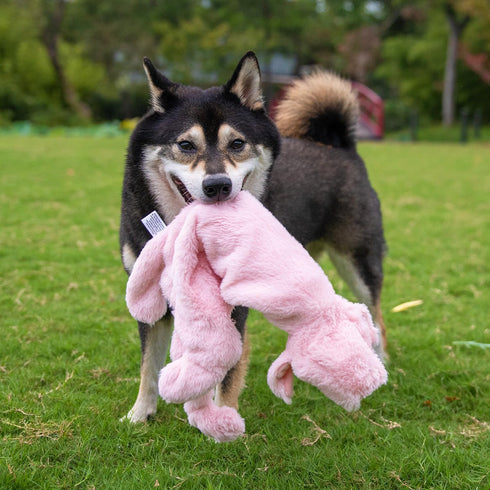 Best Pet Supplies 2-in-1 Stuffless Squeaky Dog Toys - Soft Durable Fabric for Small, Medium, Large Pets, No Stuffing