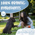 Organic Sprays to Train Your Pet Where Not to Urinate - Anti Chew Spray for Puppies, Made in The USA, 8 oz