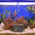 Aquarium Ornament, Resin Treasure Chest Decoration, Fish Tank Hide Castle for Underwater Landscape Decor