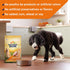 Nature's Recipe Chicken, Barley & Brown Rice Recipe Dry Dog Food, 24 lb. Bag