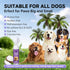 Dog Paw Cleaner Kit Soft Silicone Brush for Safe Mud & Odor Removal, Travel No-Rinse pH Balanced Natural Formula