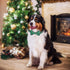 ADOGGYGO Christmas Dog Collar with Bow Tie - Adjustable Red Green Plaid Bowtie Collar for Small Medium Large Dogs