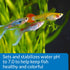 7.0 8.8-Ounce API PROPER pH Freshwater Aquarium Water pH Stabilizer Container