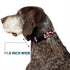 Buckle-Down Plastic Clip Collar - Mickey Mouse Poses Scattered Red/Black/White, 1" Wide, Fits 9-15" Neck, Small