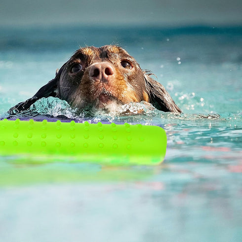 Dog Float Toy - Lightweight Interactive Training Bumper & Fetching Dummy for Small, Medium, Large Dogs, Pool Fetch Rope