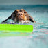 Dog Float Toy - Lightweight Interactive Training Bumper & Fetching Dummy for Small, Medium, Large Dogs, Pool Fetch Rope