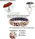 Stainless Steel Dog Tag Quick Clips for Medium and Large Dog Collars