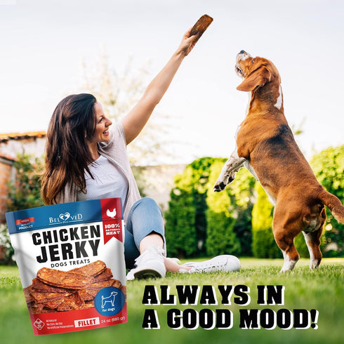 1.5 lb Pack Dog Treats Chicken Jerky Dog Food & High Protein Chews for Large, Medium & Small Breeds - Natural Healthy