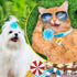 Sadnyy 120 Pcs Dog Flower Bow Collar Grooming Multi Color Charms Set for Small Medium Large Dogs