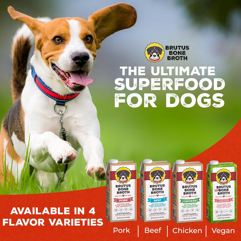 Brutus Bone Broth for Dogs, All Natural, Made in USA, Glucosamine & Chondroitin, Hydrating Dog Food Topper (Pork,
