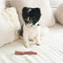 SPOT Bam-Bones Plus Branch - Durable Dog Chew for Aggressive Chewers, Bamboo Fiber & Nylon, 5.75in, Beef Flavor, Great