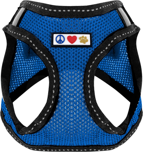 Pawtitas Dog Vest Harness, Breathable Air Mesh, All Weather Vest for Small Puppies and Large Cats, Blue Mesh